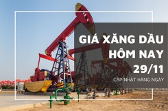 Giá xăng dầu hôm nay 29/11: Đảo chiều, tăng lên mức 65.520 JPY/thùng