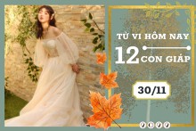 Tử vi hàng ngày hôm nay của 12 con giáp 30/11/2022: Tỵ tài lộc đi xuống, Tuất tình duyên lận đận