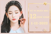 Tử vi ngày mai của 12 con giáp 1/12/2022: Tý tài lộc kém may mắn, Tuất vượng tình yêu