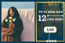 Tử vi hàng ngày hôm nay của 12 con giáp 1/12/2022: Ngọ tài lộc may mắn, Hợi tình duyên bình lặng