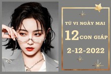 Tử vi ngày mai của 12 con giáp 2/12/2022: Dần tài lộc tăng tiến, Mùi công việc ‘giậm chân tại chỗ’