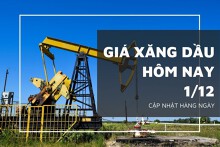 Giá xăng dầu hôm nay 1/12: Tăng trở lại với mức điều chỉnh trên 1%
