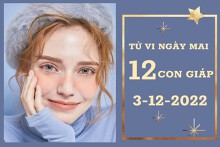 Tử vi ngày mai của 12 con giáp 3/12/2022: Mão tài lộc hanh thông, Thân tình cảm Hung Cát đan xen