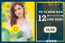Tử vi hàng ngày hôm nay của 12 con giáp 11/12/2022: Thân tài lộc khó khăn, Hợi tình duyên thiếu gắn kết