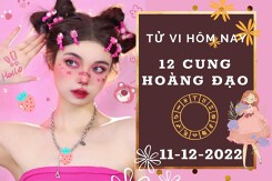Tử vi hôm nay của 12 cung hoàng đạo ngày 11/12/2022: Song Tử tình cảm không tốt, bảo Bình tài lộc ổn định