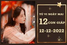 Tử vi ngày mai của 12 con giáp 12/12/2022: Tý tài lộc tươi mới, Ngọ công việc ổn định
