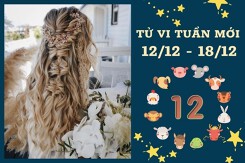 Tử vi tuần mới của 12 con giáp từ 12/12 đến 18/12: Thìn hao hụt tài lộc, Mùi công việc gặp vận Hung Cát