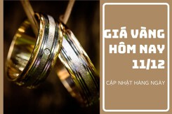 Giá vàng hôm nay 11/12: Vàng SJC tăng 500.000 đồng/lượng trong tuần qua