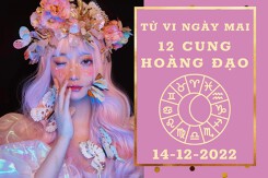 Tử vi ngày mai của 12 cung hoàng đạo 14/12/2022: Thiên Bình tài lộc kém sắc, Sư Tử công việc được cải thiện