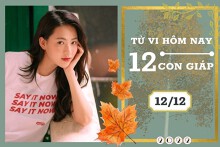 Tử vi hàng ngày hôm nay của 12 con giáp 12/12/2022: Dậu tài lộc vững chắc, Tý tình duyên biến chuyển