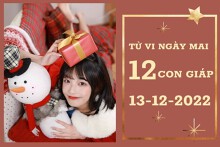 Tử vi ngày mai của 12 con giáp 13/12/2022: Dần tài lộc ‘tụt dốc’, Hợi tình yêu khá tốt