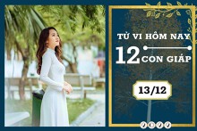 Tử vi hàng ngày hôm nay của 12 con giáp 13/12/2022: Tuất tài lộc tăng tiến, Sửu tình duyên trở ngại