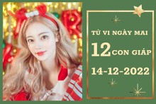 Tử vi ngày mai của 12 con giáp 14/12/2022: Mão tài lộc không tệ, Tỵ sự nghiệp bất ổn