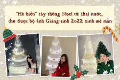 ‘Hô biến’ cây thông Noel từ chai nước, thu được bộ ảnh Giáng sinh 2022 xinh mê mẩn