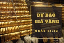 Dự báo giá vàng 14/12: Có thể biến động nhẹ vào đầu phiên?