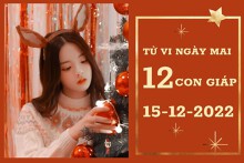 Tử vi ngày mai của 12 con giáp 15/12/2022: Thìn tài lộc giảm sút, Thân tình cảm không tốt
