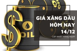 Giá xăng dầu hôm nay 14/12: Giảm nhẹ, dao động quanh mức 62.320 JPY/thùng