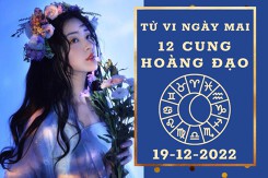 Tử vi ngày mai của 12 cung hoàng đạo 19/12/2022: Thiên Bình tài lộc tươi sáng, Bọ Cạp tình cảm cô đơn