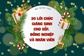 30 lời chúc Giáng sinh dành cho sếp, đồng nghiệp và nhân viên hay 2022