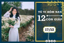 Tử vi hàng ngày hôm nay của 12 con giáp 17/12/2022: Dần tài lộc thuận lợi, Tỵ tình duyên bền chặt