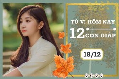 Tử vi hàng ngày hôm nay của 12 con giáp 18/12/2022: Dần tài lộc hao hụt, Tỵ tình duyên hòa thuận