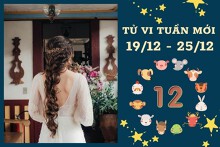 Tử vi tuần mới của 12 con giáp từ 19/12 đến 25/12: Tỵ tài lộc tăng cao, Tuất tình duyên lận đận