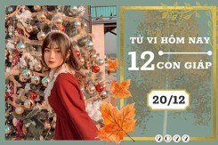 Tử vi hàng ngày hôm nay của 12 con giáp 20/12/2022: Thìn tài lộc nhiều áp lực, Mùi tình duyên trầm lắng