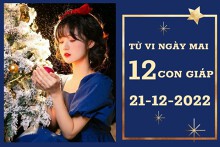 Tử vi ngày mai của 12 con giáp 21/12/2022: Ngọ tài lộc vô lo, Tuất tình yêu vượng vận