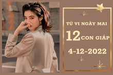 Tử vi ngày mai của 12 con giáp 4/12/2022: Tỵ tài lộc may mắn, Hợi sự nghiệp khá hanh thông