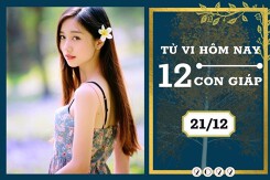 Tử vi hàng ngày hôm nay của 12 con giáp 21/12/2022: Tỵ tài lộc tấn tới, Thân tình duyên mâu thuẫn