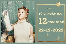 Tử vi ngày mai của 12 con giáp 22/12/2022: Mão vượng tài lộc, Dậu sự nghiệp như ý