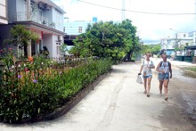 Huyện Vân Đồn, Quảng Ninh đấu giá 53 ô đất, khởi điểm từ 16,14 triệu đồng/m2