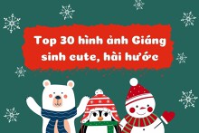 Top 30 hình ảnh Giáng sinh cute, hài hước chọn lọc năm 2022
