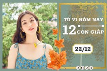 Tử vi hàng ngày hôm nay của 12 con giáp 22/12/2022: Ngọ tài lộc trầm lắng, Dậu tình duyên khởi sắc