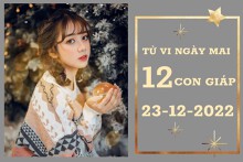 Tử vi ngày mai của 12 con giáp 23/12/2022: Thân tài lộc giảm nhẹ, Hợi tình cảm kém sắc