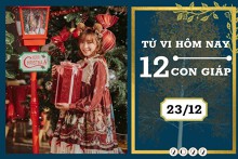 Tử vi hàng ngày hôm nay của 12 con giáp 23/12/2022: Mùi tài lộc đủ đầy, Tuất tình duyên biến chuyển