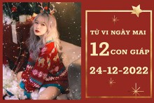 Tử vi ngày mai của 12 con giáp 24/12/2022: Ngọ tài lộc tăng cao, Tý công việc khá ổn