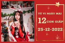 Tử vi ngày mai của 12 con giáp 25/12/2022: Tuất tài lộc tấn tới, Sửu tình yêu trầm lắng