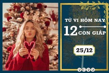 Tử vi hàng ngày hôm nay của 12 con giáp 25/12/2022: Dậu tài lộc hanh thông, Tý tình duyên biến động