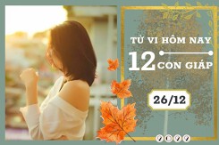 Tử vi hàng ngày hôm nay của 12 con giáp 26/12/2022: Tuất tài lộc tăng tiến, Sửu tình duyên hòa thuận