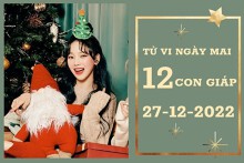 Tử vi ngày mai của 12 con giáp 27/12/2022: Tỵ tài lộc ‘tụt dốc’, Dần tình cảm không tệ