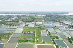 Loạt dự án sẽ đưa hạ tầng khu đông Tiền Giang 'lên đời'