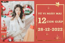 Tử vi ngày mai của 12 con giáp 28/12/2022: Thân tài lộc tăng tiến, Thìn công việc trôi chảy