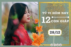 Tử vi hàng ngày hôm nay của 12 con giáp 28/12/2022: Mão tài lộc kém sắc, Tý tình duyên hạnh phúc