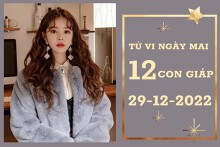 Tử vi ngày mai của 12 con giáp 29/12/2022: Hợi tài lộc ảm đạm, Dậu tình yêu trong sáng