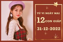 Tử vi ngày mai của 12 con giáp 31/12/2022: Dần tài lộc vượng, Hợi tình cảm ngọt ngào