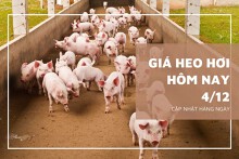 Giá heo hơi hôm nay 4/12: Thị trường sẽ biến động trái chiều trong tuần tới?