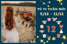 Tử vi tuần mới của 12 con giáp từ 5/12 đến 11/12: Dần tài lộc kém vượng, Dậu tình yêu tốt đẹp