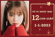 Tử vi ngày mai của 12 con giáp 1/1/2023: Tý tài lộc vượng tiến, Thân công việc khởi sắc
