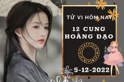 Tử vi hôm nay của 12 cung hoàng đạo ngày 5/12/2022: Song Tử tài lộc vượng phát, Bảo Bình tình cảm khó hòa hợp